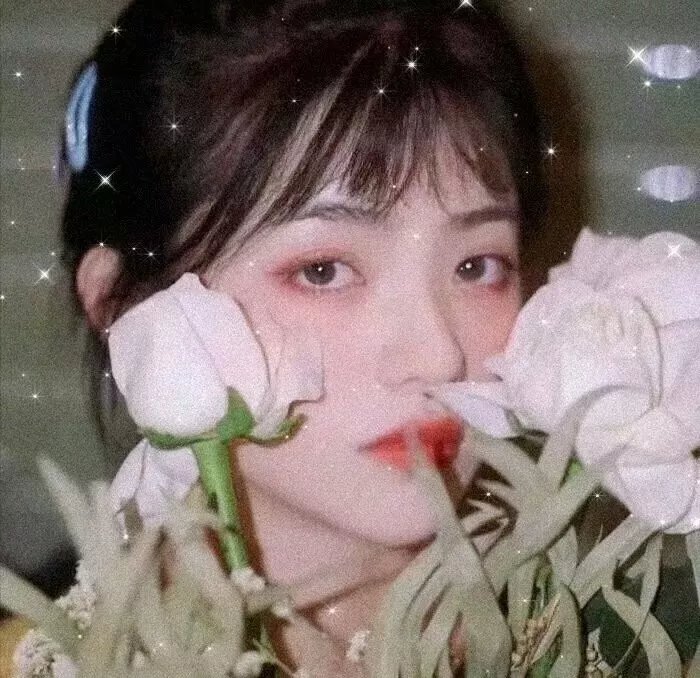 摩玉玄奇